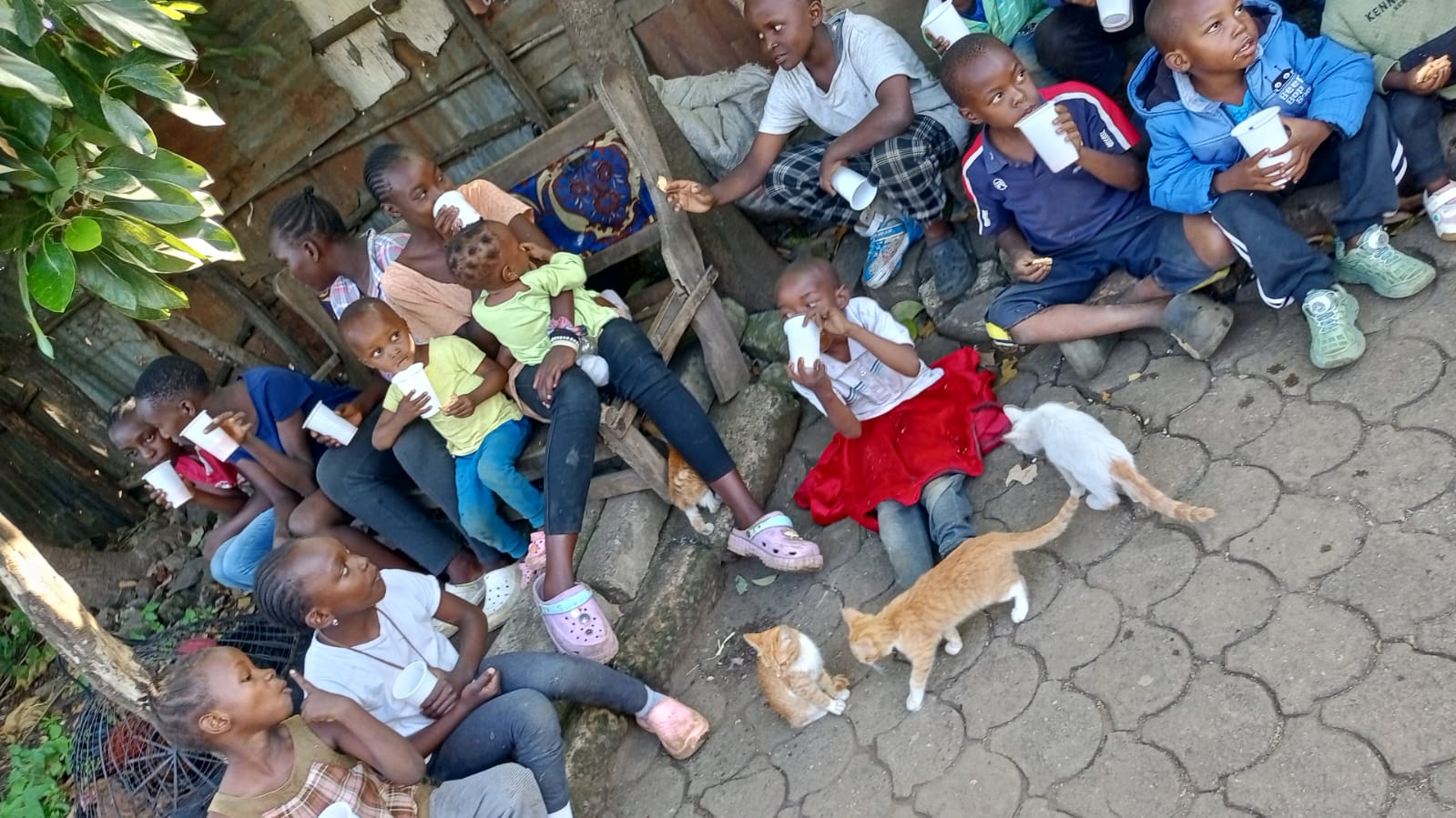 WhatsApp Image 2026 05 19 at 9.39.51 PM (1)
